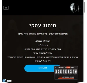 מיתוג עסקי