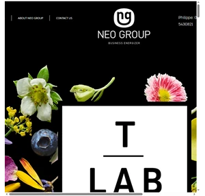 home neo group