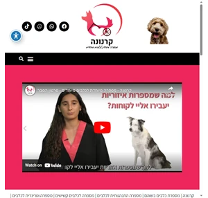 קרנונה - מספרה מיוחדת לכלבים מיוחדים