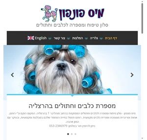 מיס פונפון - סלון טיפוח ומספרת כלבים וחתולים בהרצליה