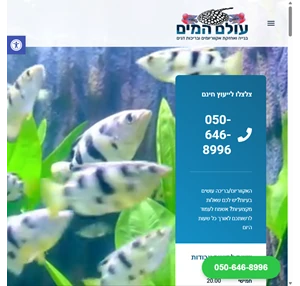 אחזקת אקווריום בניית אקווריום אחזקה של בריכת דגים - אמינות - עולם המים בהנהלת משה כהן - עולם המים - בנייה ואחזקה של אקווריומים ובריכות דגים