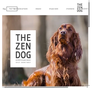 רפואה משלימה כלבים the zen dog israel