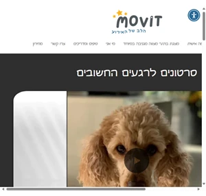 סרטוני פרימיום לאירועים movit הלב של האירוע