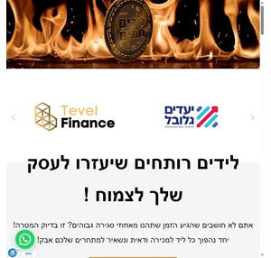 לידים רותחים שיעזרו לעסק שלך לצמוח - balileads