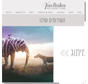 עיצוב גרפי yaelinka studio