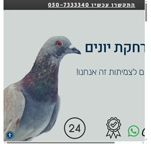 מגל הרחקת יונים הרחקת יונים ישראל