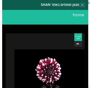 מגוון מומחים באתר shan -