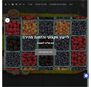 פרישיק מגשי פירות מעוצבים סלסלאות פירות. בר פירות. סושי פירות. ועוד