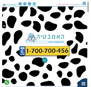 מספרת כלבים ניידת - האמבטיה - רשת מספרות כלבים