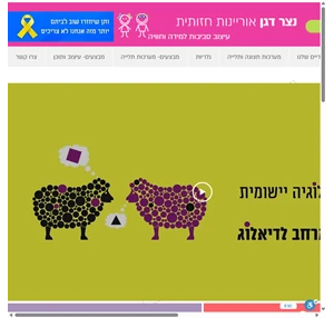 נצר דגן- אוריינות חזותית ועיצוב סביבות למידה-nezer dagan