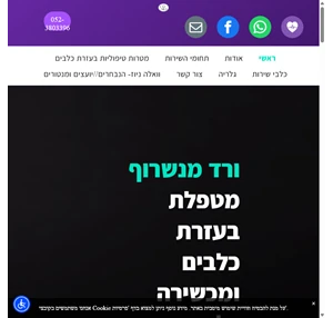 ורד מנשרוף דף בית