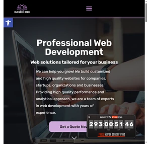 blossom web development and technologies - experts for you
