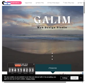 galim web development seo גלים פיתוח ועיצוב אתרים