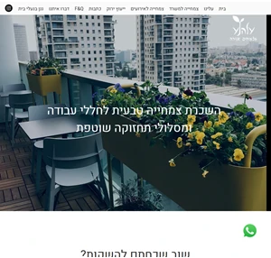 התאמת צמחייה למשרדים ולארועים עלה נע