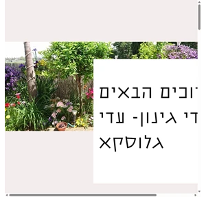 עדי גינון - עדי גלוסקא