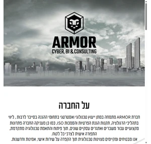 armor - cyber bi consulting