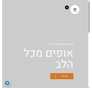 מאיר בייגל