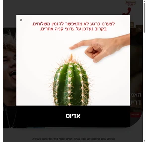 האמפנדס של מילי