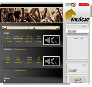 ווילד קט לחפש בקלות wildcat wild cat