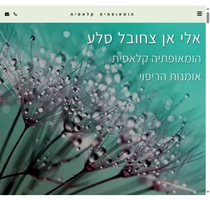 הומאופתיה קלאסית - אלי אן צחובל סלע