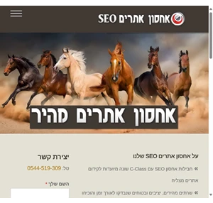 אחסון אתרים seo - אחסון אתרים seo