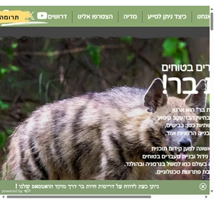 מעברים בטוחים לחיות בר safe wildlife crossings