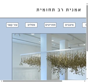 בית my site