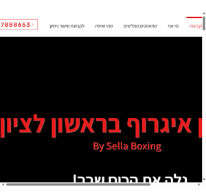 אימוני אגרוף בקבוצות sella boxing דביר סלע מאמן איגרוף בראשון לציון