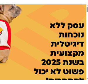 דף נחיתה אתר ב 99 שח - דפי נחיתה