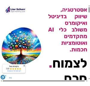 ליאור שור - אסטרטגיה שיווק בדיגיטל ואיקומרס