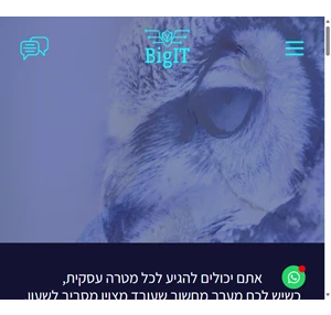 bigit - שירותי it לעסקים