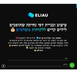 אליהו קוגמן - עיצוב ובניית דפי נחיתה ממירים