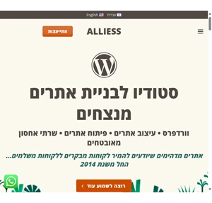 building your next wordpress website - alliess