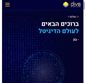 DIVS - בניית אתרים ופיתוח מערכות