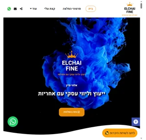 אלחי פיין מאמן ויועץ עסקי בניית אתרי אינטרנט סופר פרימיום