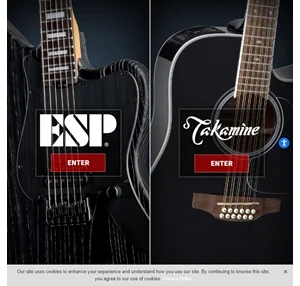 The ESP Guitar Company