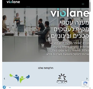 מתמחה במערכות מידע ויעוץ עסקי - violane