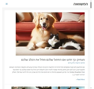 המשוואה - כל מה שמעניין באינטרנט טכנולוגיה ודיגיטל