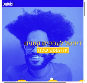 ניהול רשתות וקמפיינים גולדפיש פרסום דיגיטלי Israel