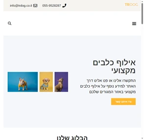 trdog אילוף כלבים מקצועי