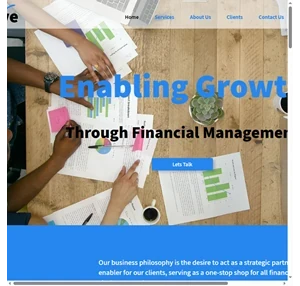 Financial Business Strategy Strive