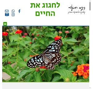 לילית נתיבאור - נטורופתית מוסמכת