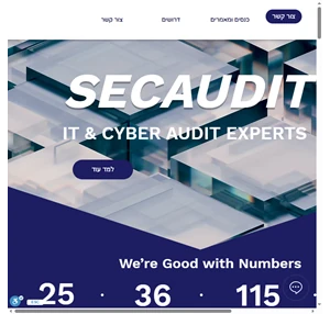 secaudit it cyber audit experts