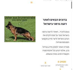 רועה גרמני ישראל רועה גרמני כלב זאב כל המידע המקצועי