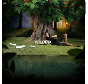 wildpix בניית אתרים עיצוב אתרים חיפה