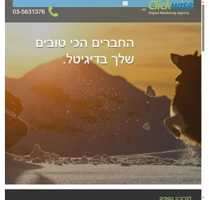 קידום אורגני בגוגל להגדלת הכנסות קליקוויז