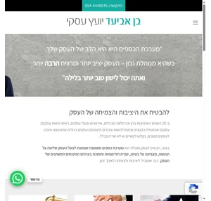 ייעוץ עסקי - פורן