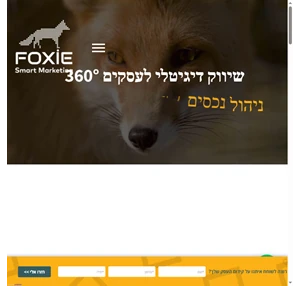 FOXIE שיווק דיגיטלי לעסקים 360 (פוקסי)?