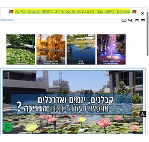 ציוד לבריכות נוי ודגים בריכות שחייה בריכות אקלוגיות מזרקות מים מפלים אקווריומים ודגי נוי 