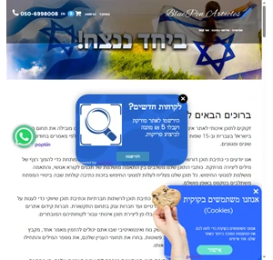 כתיבת מאמרים כתיבת תוכן Blue Pen Articles